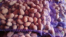 Sprzedam ziemniaki odmiana Belmondo kaliber 30-45 worek szyty lub big bag oraz Queen Anna kaliber 30-45